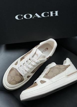 Кеди coach