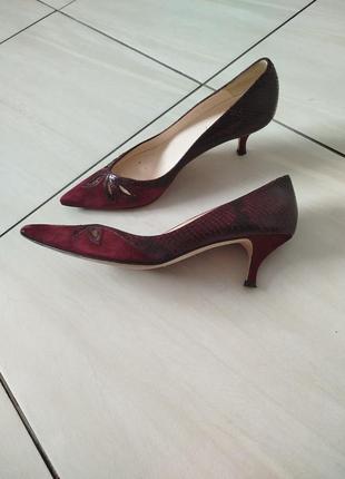 Туфлі трендового винного кольору лодочки бордові