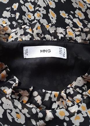 Сукня mango 3