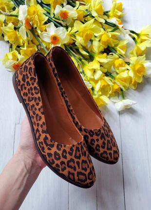 Балетки натуральные лео, р 33-42