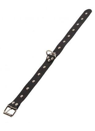 Нашийник dominant collar, black 2