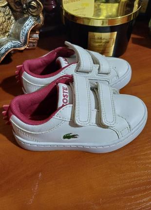 Кеди lacoste