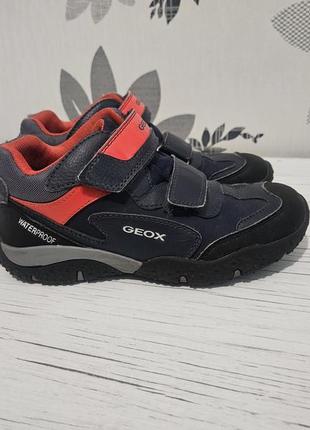 Ботинки демисезонные geox1 фото