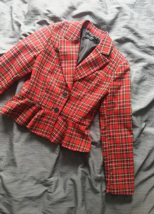 Пиджак итальялия жакет в клетку шотландка красный massimo dutti tommy reserved приталенный h&amp;m свитер mango zara1 фото