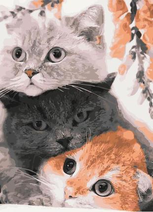 Картина за номерами тварини. грайливі кішечки 40*50 см орігамі lw 31720