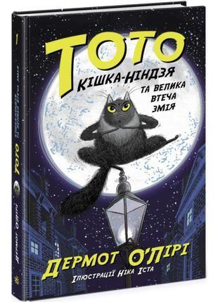 Тото. кішка-ніндзя та велика втеча змія. книга 1 дермот о'лірі ранок