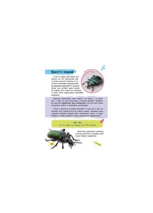 Мініенциклопедія. комахи та павуки3 фото