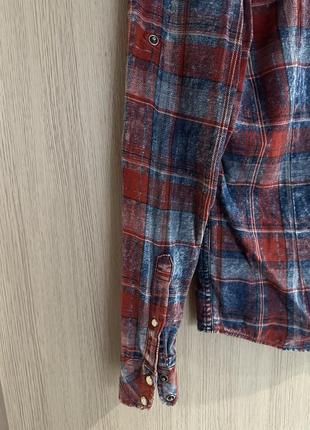 Мужская рубашка colin's