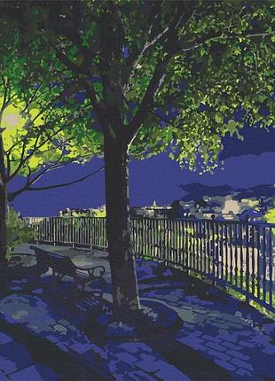 Картина за номерами нічний парк 40*50 см artcraft 10585-ac