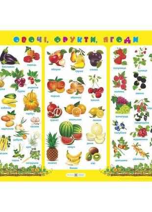 Плакат пiдручники i посiбники овочі, фрукти, ягоди