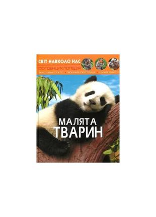 Світ навколо нас. малята тварин