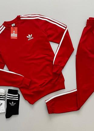 Весенний спортивный костюм adidas свитшот + брюки. две пары носков в подарок 🎁