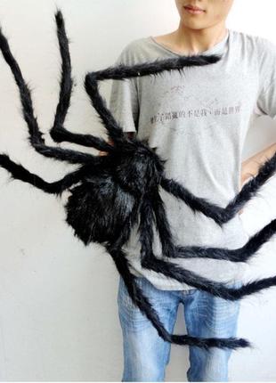 Огромный паук resteq! большой черный тарантул! 75 см!