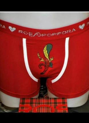 Труси боксери чоловічі rosso porpora