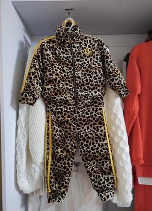 Велюровий леопардовий костюм на осінь-весну