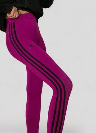 Женские лосины для зала adidas адидас адидас для спорта лосины спортивные костюмы спортивные спортивные спортивные штаны1 фото