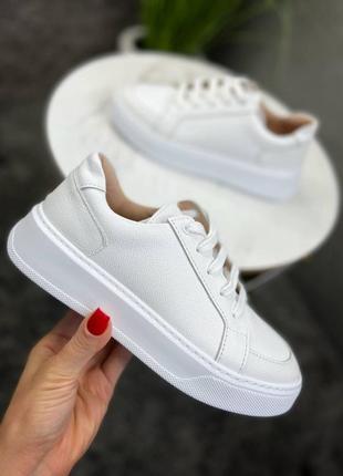 Кеди