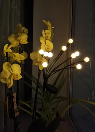 Светильники, фонарики, подсветка, ночник, лампочки на солнечной батарее1 фото