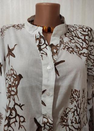 Туника бабовная, блузка длинный рукав, большой размер2 фото
