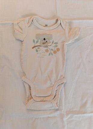 Пісочниці боді