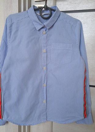 Святкова нарядна шкільна сорочка з довгим рукавом голуба h&m для хлопчика 8-9 років зріст 1343 фото