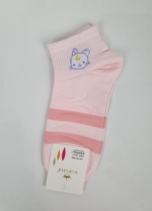 Короткие женские носки с котами набор 5 пар. летние носки с животными. носки из хлопка с котиками 36-41 р8 фото