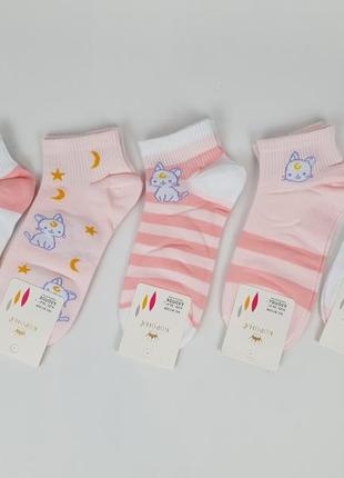 Короткі жіночі шкарпетки з кітами набір 5 пар. літній шкарпетки з тваринами. шкарпетки з бавовни з котиками 36-41 р1 фото