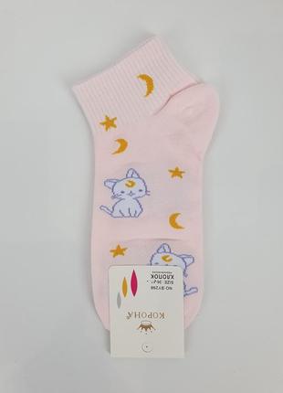 Короткі жіночі шкарпетки з кітами набір 5 пар. літній шкарпетки з тваринами. шкарпетки з бавовни з котиками 36-41 р5 фото