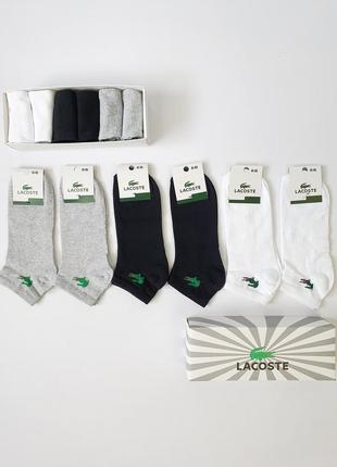 Набір спортивні шкарпетки для чоловіків lacoste 6 пар. шкарпетки комплект лакосте комплект 6шт. короткі шкарпетки чоловічі