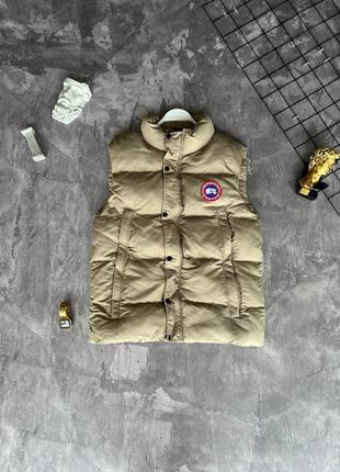 Чоловіча жилетка canada goose на весну у бежевому кольорі premium якості, стильна та зручна жилетка на кожен день