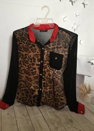 Леопардовая блуза, блузка леопард принт воротник длинный рукав короткая прозрачная легкая прямая1 фото