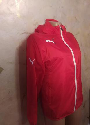 Дощовик puma original1 фото