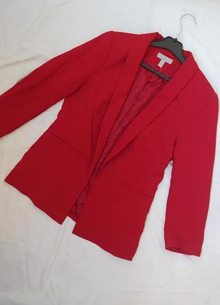 Яскравий піджак