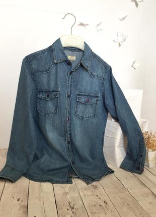 Джинсовая рубашка tiffosi прямая длинный рукав накладные карманы воротник джинс1 фото