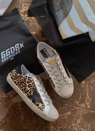 Кеди golden goose leo