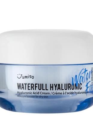 Jumiso - waterfull hyaluronic cream - увлажняющий крем с гиалуроновой кислотой - 50ml2 фото