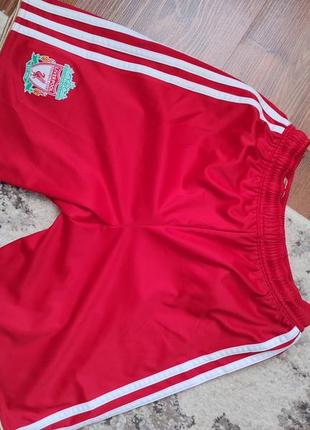 Shorts liverpool