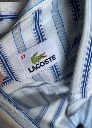 Мужская рубашка лакост ретро lacoste crocodile logo striped vintage atch shirt5 фото