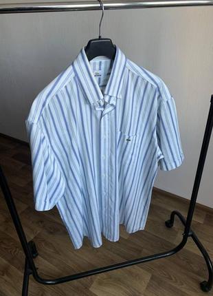 Чоловіча сорочка лакост ретро lacoste crocodile logo striped vintage france shirt