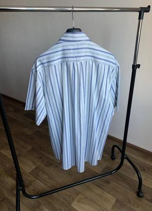 Мужская рубашка лакост ретро lacoste crocodile logo striped vintage atch shirt2 фото