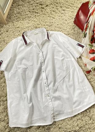 Базовая белая хлопковая нежная рубашка с коротким рукавом,германия,р.18-228 фото