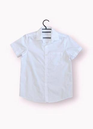 Рубашка "next" на 11 лет (146 см) с коротким рукавом