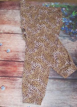 Оксамитові спортивні штани в леопардовий принт2 фото