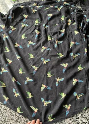 Рубашка с попугаями oasis2 фото