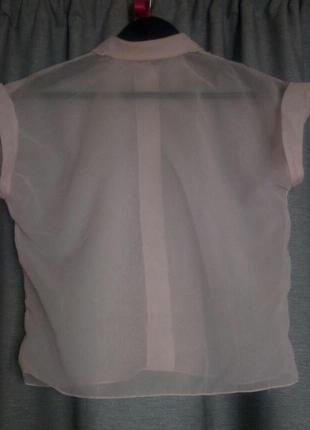 Прозрачная блузка3 фото