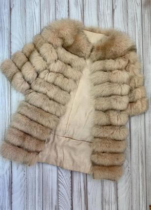 Финский песец