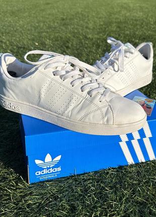 Чоловічі кросівки adidas advantage stan smith samba grand court nizza