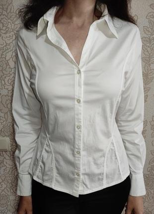 Белоснежка коттоновая рубашка / блузка mills (хлопок, эластан)
