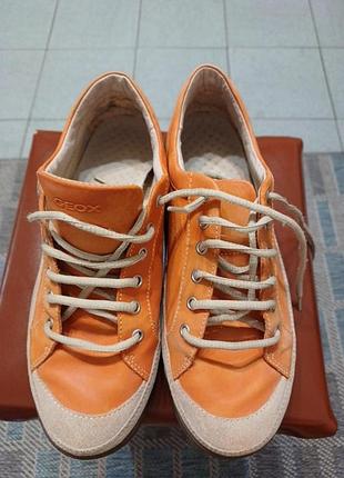 Мокасини, кеди, туфлі шкіра