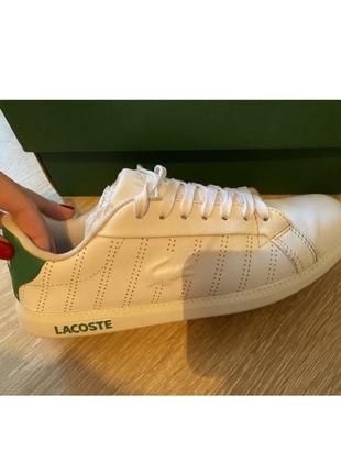 Кеди lacoste оригінал